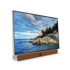 Skyworth 24-inch FHD Portable Smart Google TV