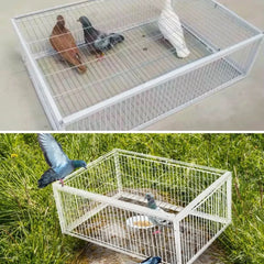 Humane Multi-Entry Bird Capture Cage with 4 One-Way Entrances, Anti-Escape Angled Bars, Top Access Door & Rust-Resistant Metal Construction for Pigeons & Small Birds