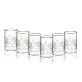 Borosil Meadow Vision Glass Tumbler Set of 6 - 295 ml | Scratch Resistant Borosil Glass Microwave Safe Freezer Proof Everyday Drinkware