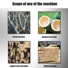 3-in-1 Portable Electric Cordless Pruning Shear & Chainsaw with Telescopic Pole & 2 Batteries