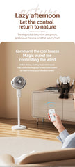 Portable Rechargeable Desktop & Floor Circulating Fan with 5-Speed Settings, Remote & Type-C Charging