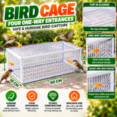 Humane Multi-Entry Bird Capture Cage with 4 One-Way Entrances, Anti-Escape Angled Bars, Top Access Door & Rust-Resistant Metal Construction for Pigeons & Small Birds