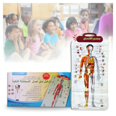 Interactive Human Body Anatomy Learning Board 96 × 46 CM with 32 Body Parts, Audio Explanation & 3D Educational Learning