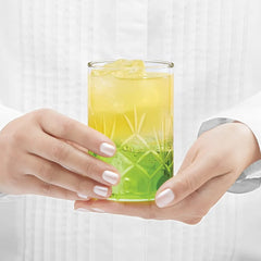 Borosil Meadow Vision Glass Tumbler Set of 6 - 295 ml | Scratch Resistant Borosil Glass Microwave Safe Freezer Proof Everyday Drinkware