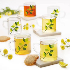 Borosil Vision Classic Borosilicate Glass Tea & Coffee Mug Set of 6 - 190ml |  Microwave Safe Transparent Green Leaves Design