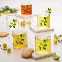 Borosil Vision Classic Borosilicate Glass Tea & Coffee Mug Set of 6 - 190ml |  Microwave Safe Transparent Green Leaves Design