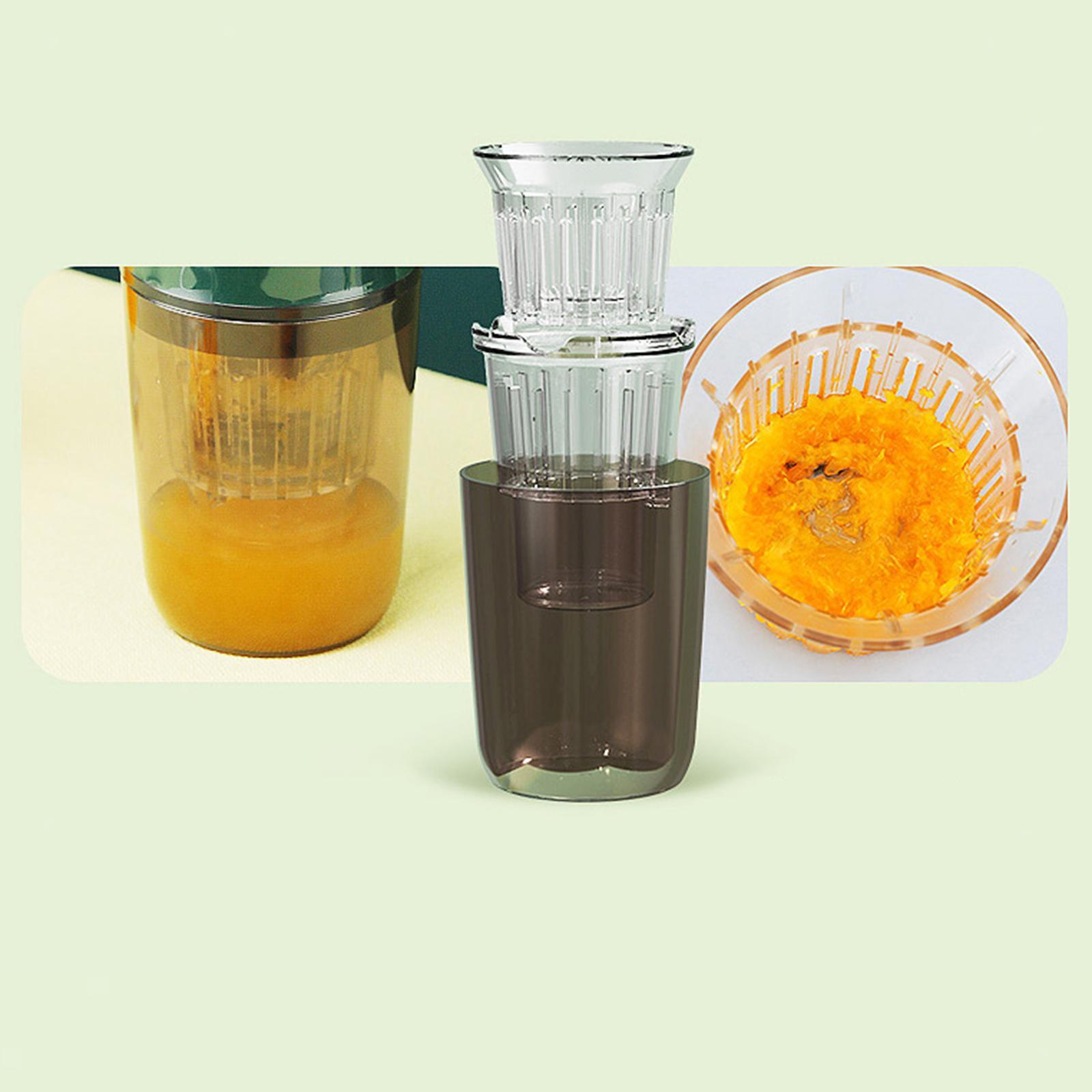 Chic Portable Rechargeable Mini Personal Slow Juicer Blender & Smoothie Maker