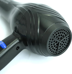 2000W Professional Hair Dryer with Blue Ion Care, Dual Speed & Heat Settings, Concentrator Nozzle, Overheat Protection & Fast Drying Technology