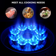 Premium Built-In Dual Burner Gas Stove 5.2kW High Power Kitchen Hob with Smart Timer Display, Thermocouple Protection, Pulse Ignition & Stainless Steel Body