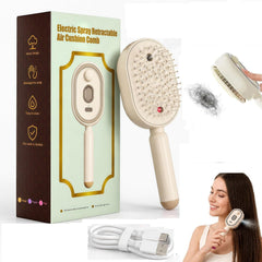 5-in-1 Rechargeable Electric Nano Mist Hair Care Brush with Red Light Scalp Massager, Self-Cleaning, Detangling & USB-C Charging